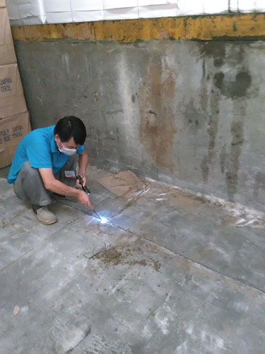 紙品倉庫地縫白蟻