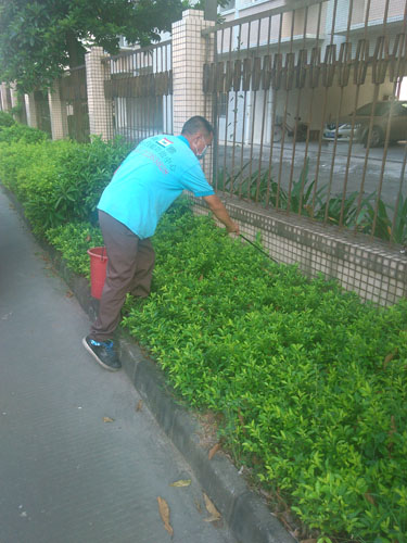 投放鼠藥餌