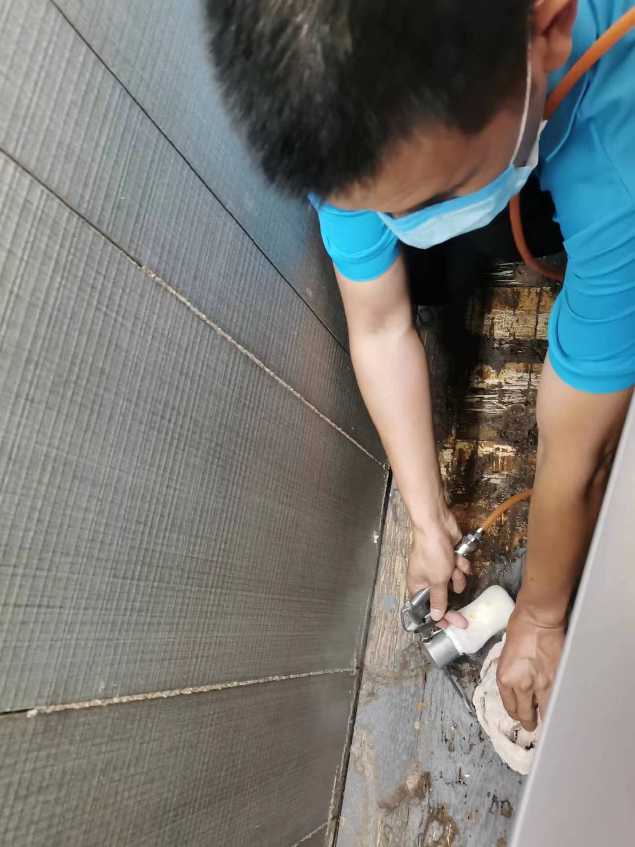 展廳滅白蟻