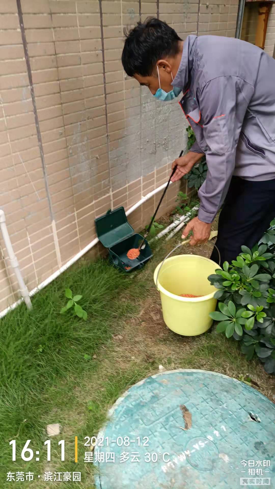 濱江豪園滅鼠