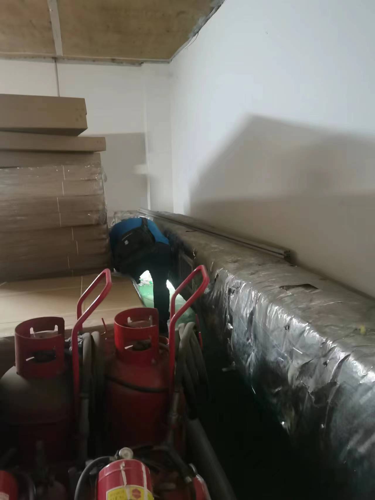 新楊滅白蟻