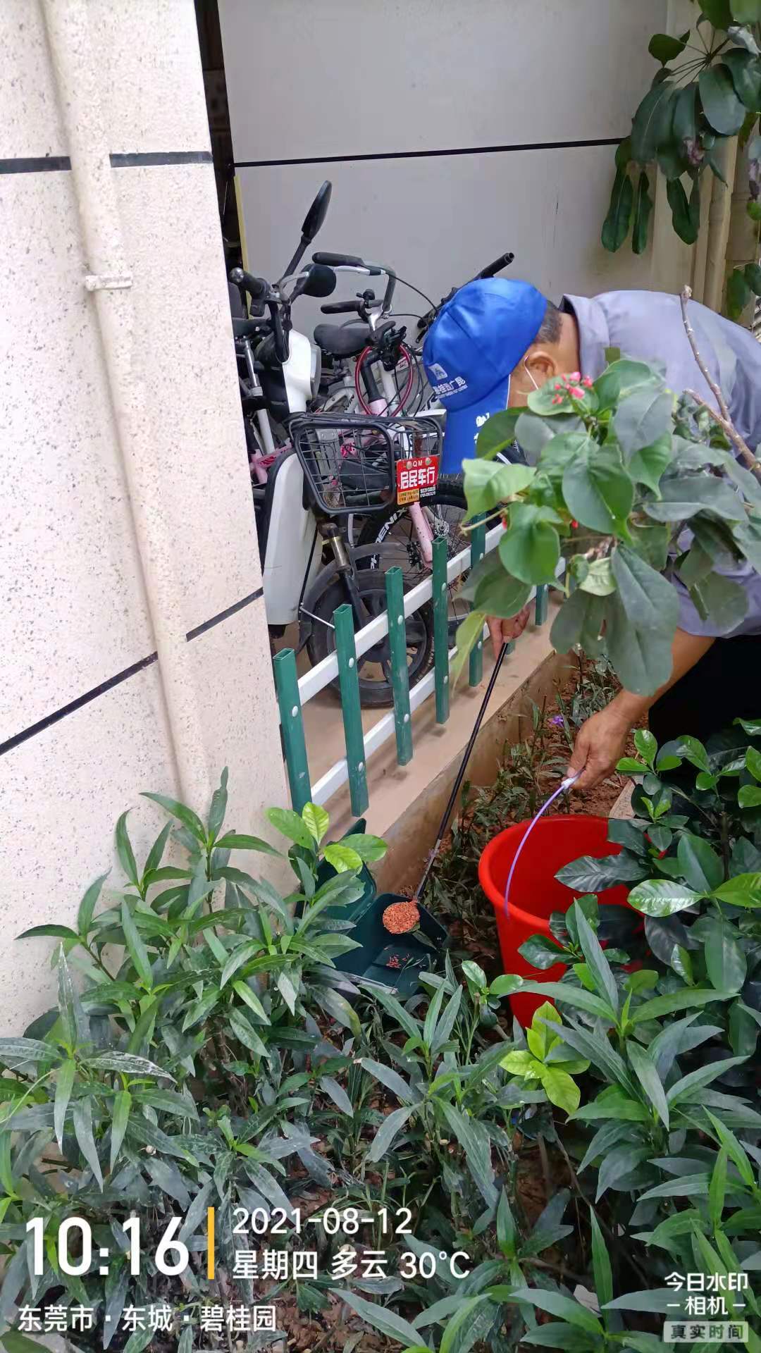 小區(qū)滅鼠