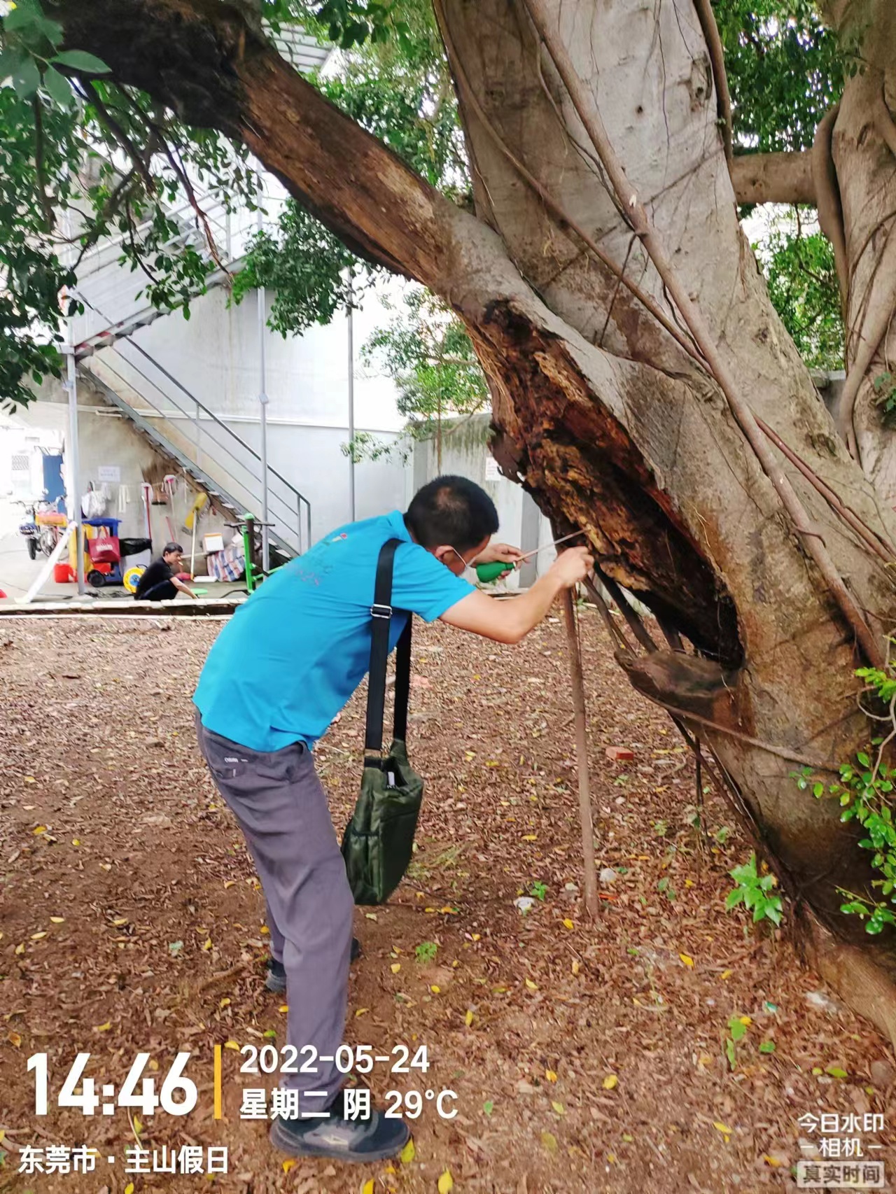 公園滅治白蟻