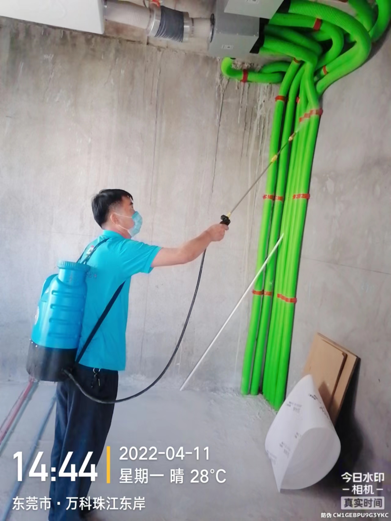 裝修前預防白蟻
