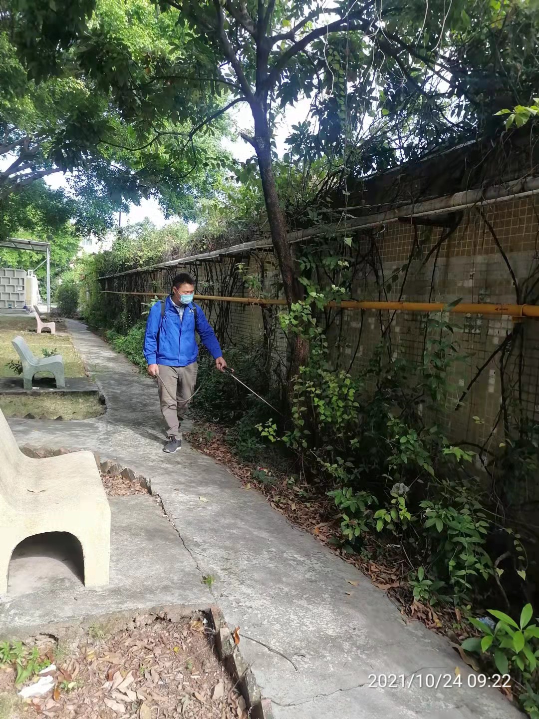 杰光殺蟲