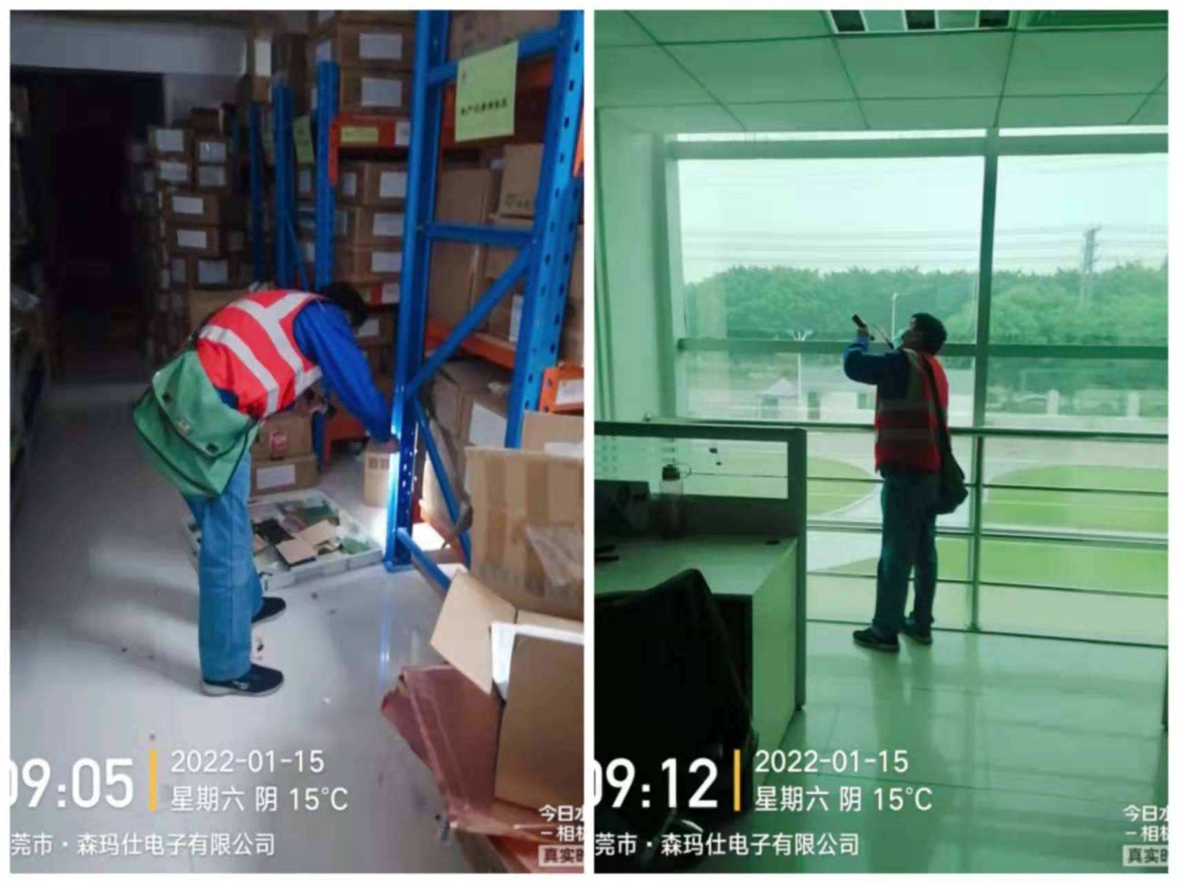 森瑪仕查白蟻