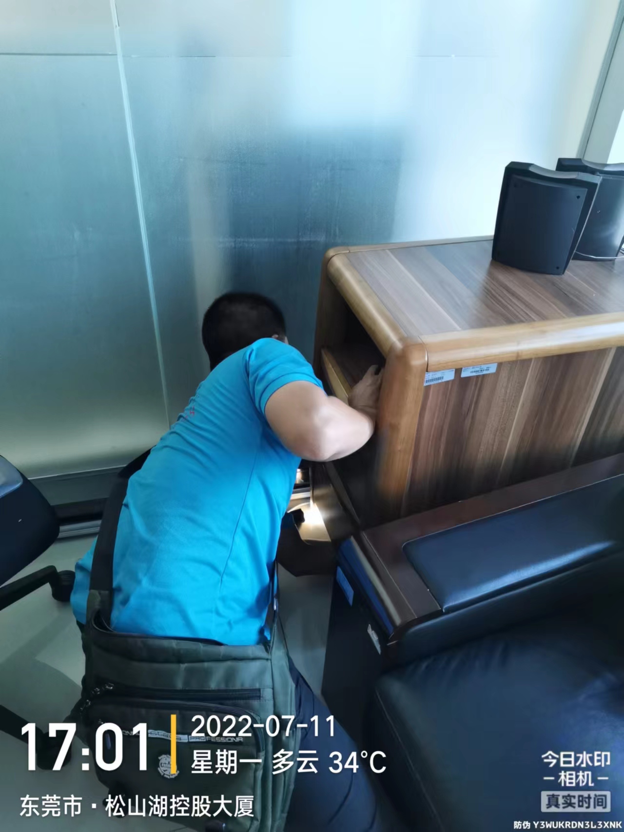 辦公室查白蟻