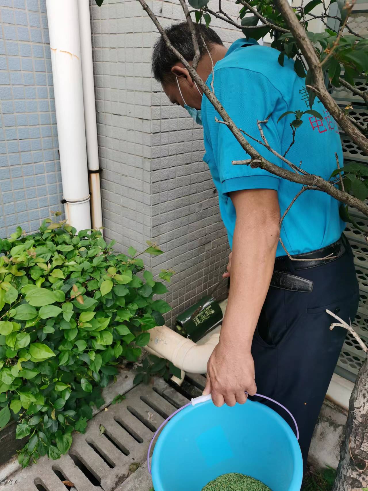 工廠外圍滅鼠