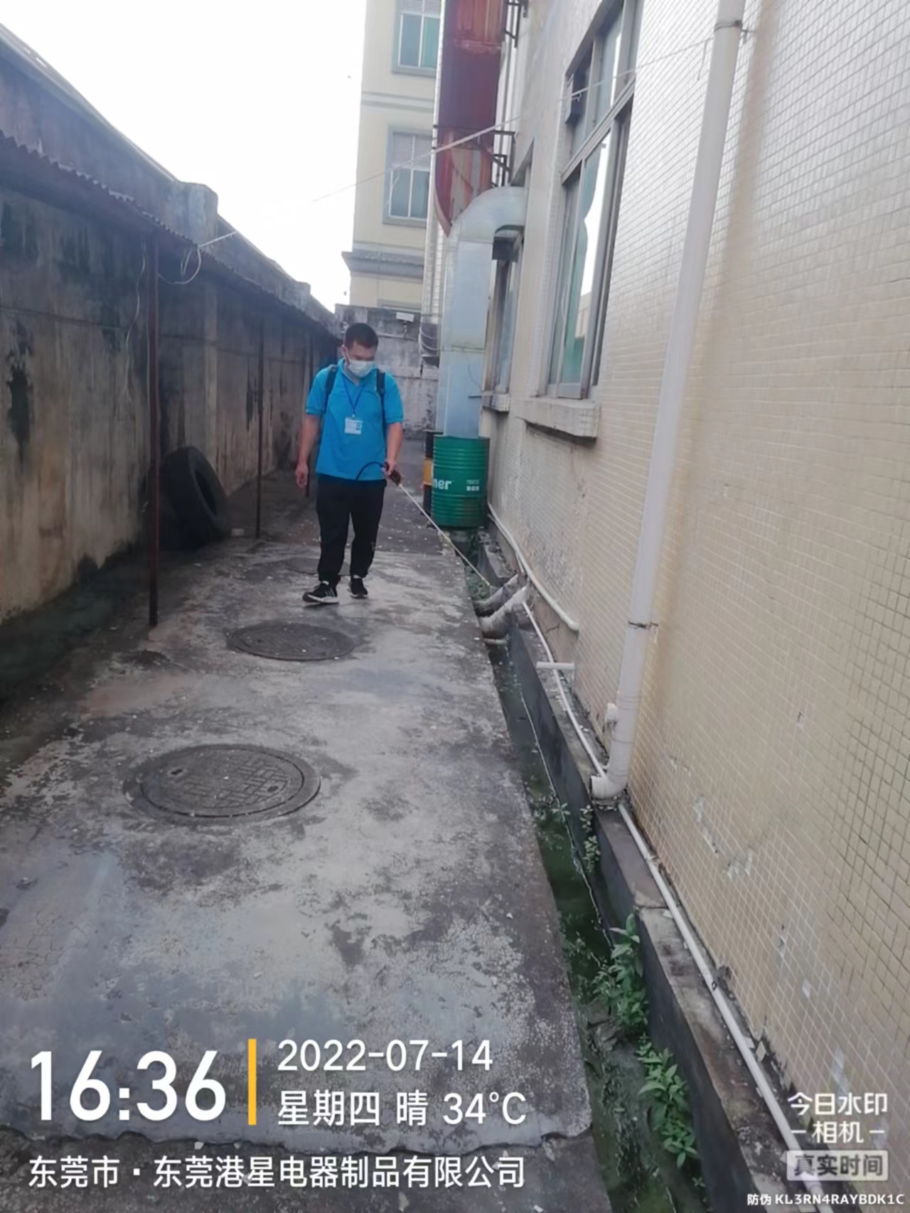 工廠殺蟲