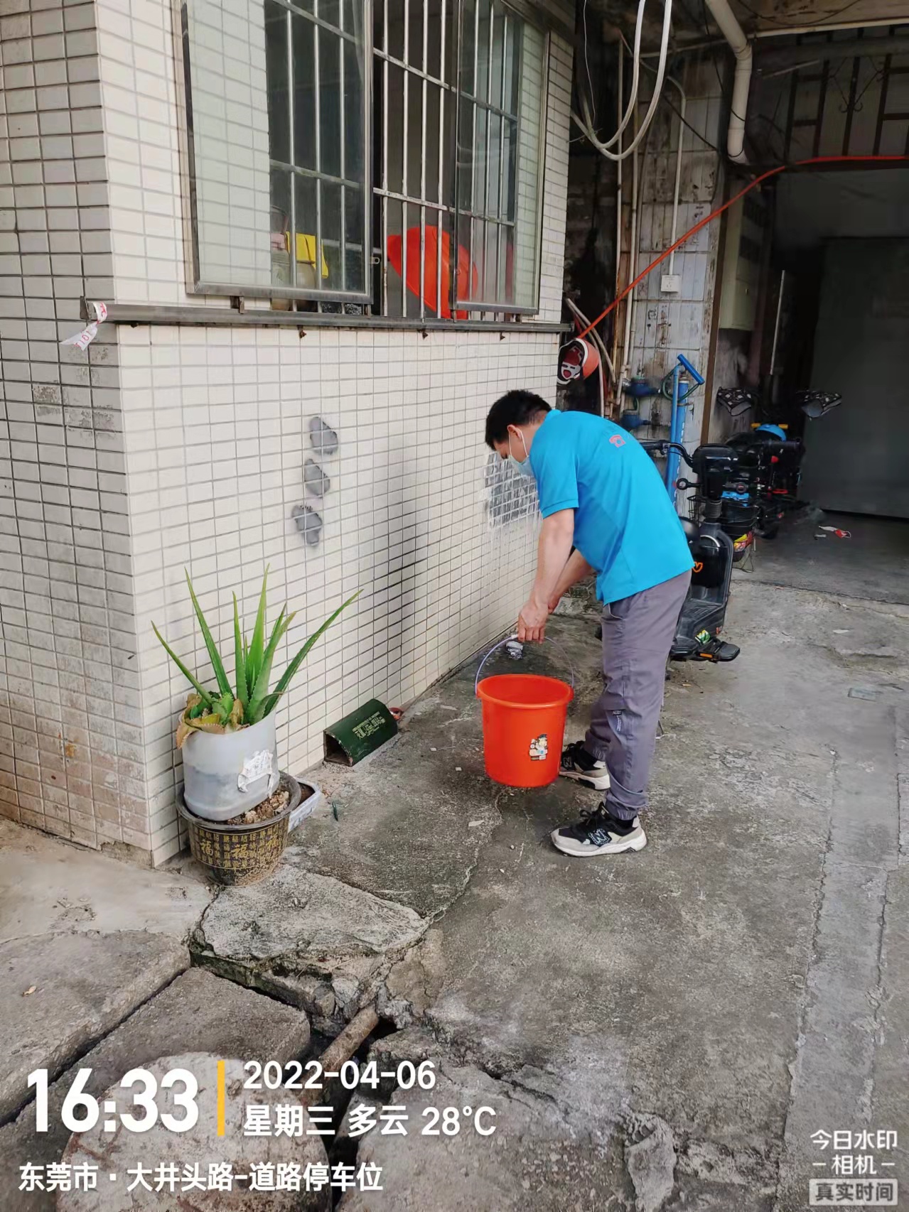 社區(qū)滅老鼠