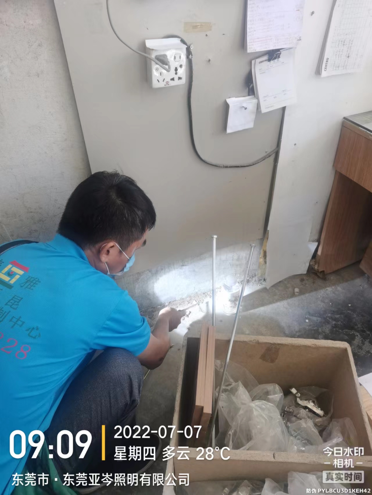 工廠查白蟻